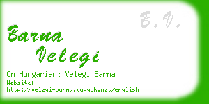barna velegi business card